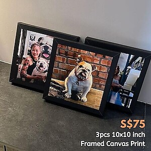 10x10inch (25x25cm) Square Canvas Print