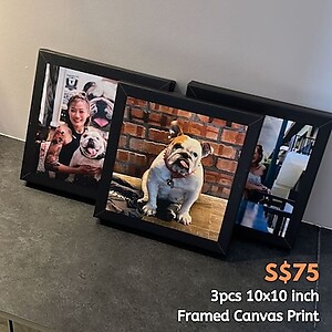 10x10inch (25x25cm) Square Canvas Print