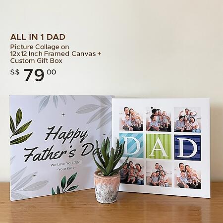 All In 1 Dad